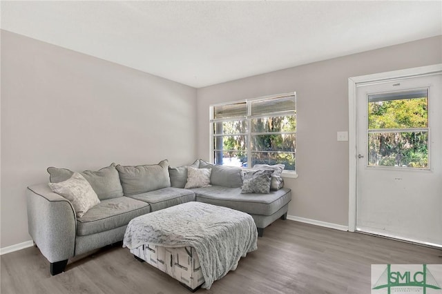 living room featuring hardwood / wood-style flooring