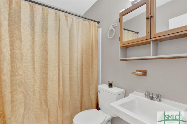 bathroom with toilet and sink