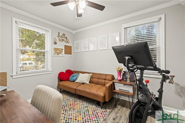 interior space with light hardwood / wood-style flooring, ornamental molding, and ceiling fan