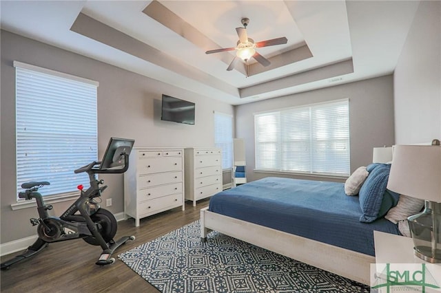 bedroom with dark wood-type flooring, a raised ceiling, and multiple windows