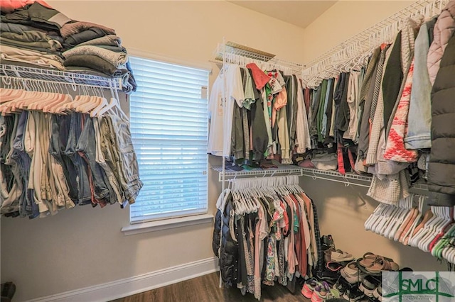 spacious closet featuring dark hardwood / wood-style floors