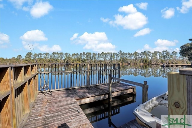 dock area with a water view