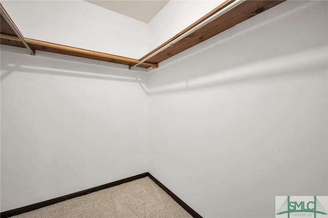 walk in closet featuring carpet floors