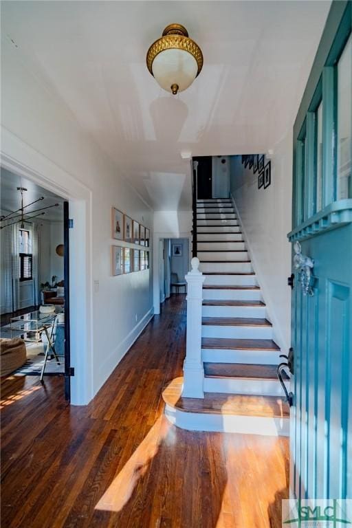 foyer entrance with dark hardwood / wood-style flooring