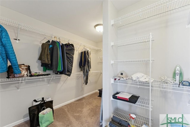 walk in closet with carpet flooring