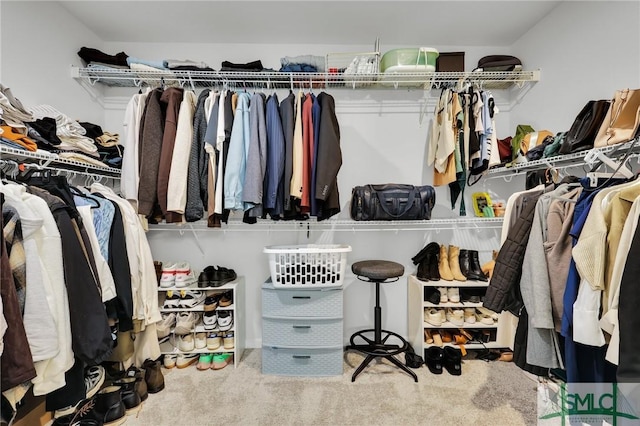 spacious closet featuring carpet floors