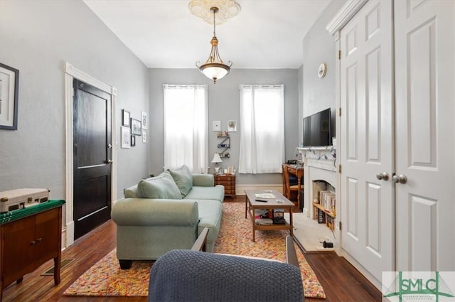 living room with dark hardwood / wood-style floors