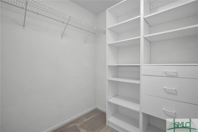 spacious closet featuring light colored carpet