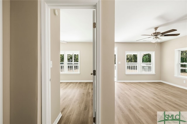 corridor featuring light hardwood / wood-style flooring