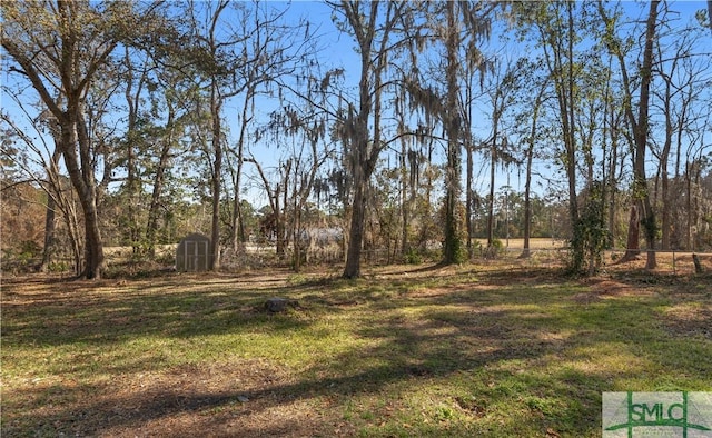 view of yard featuring a storage shed