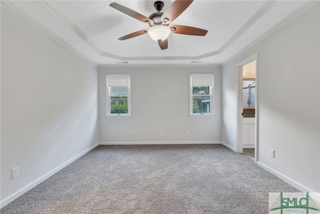 empty room featuring crown molding, a tray ceiling, carpet floors, and a healthy amount of sunlight