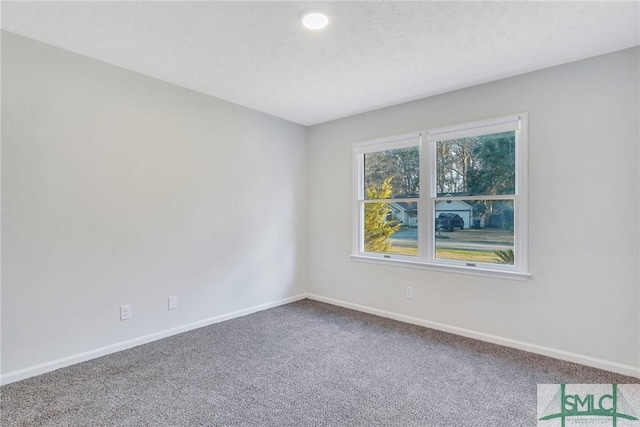 unfurnished room with carpet and a textured ceiling