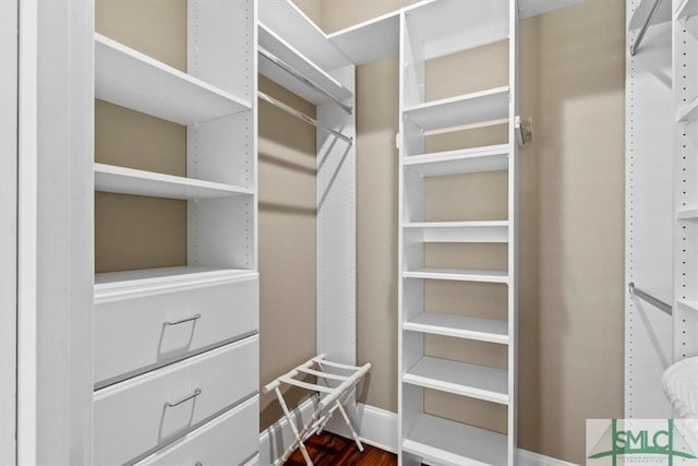 walk in closet with wood-type flooring