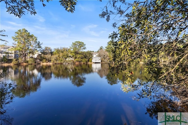 property view of water