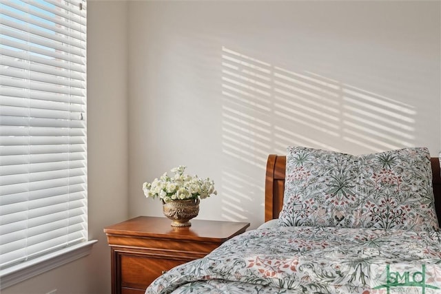 bedroom with multiple windows