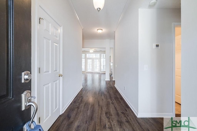 hallway featuring crown molding and dark hardwood / wood-style flooring