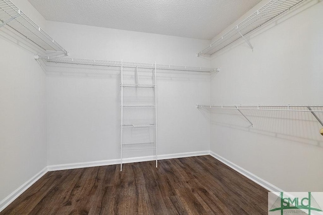 walk in closet with wood-type flooring