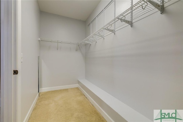 23 Stone Gate Ct, Pooler, GA 31322 - spacious closet featuring light carpet