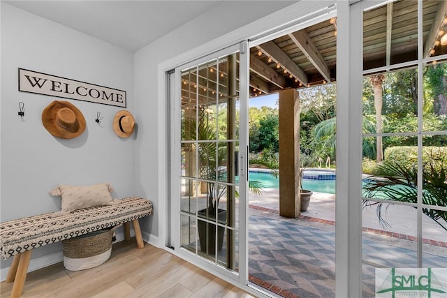 doorway to outside with a healthy amount of sunlight and light hardwood / wood-style flooring