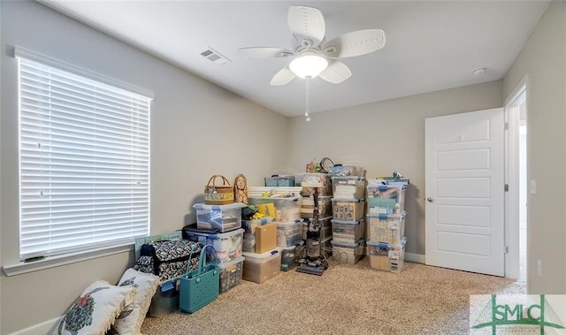 storage room featuring ceiling fan