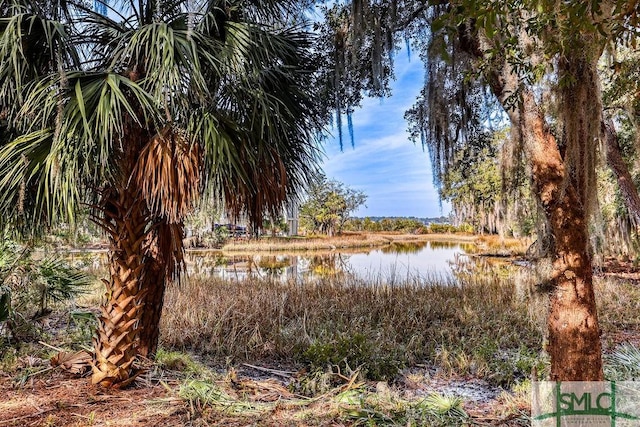 1 Cactus Point Way, Savannah GA, 31411 land for sale