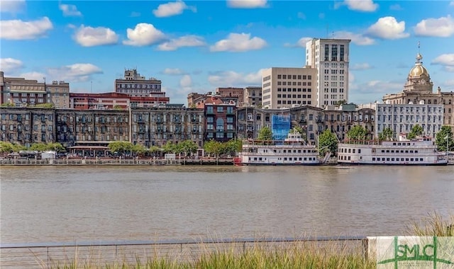 water view featuring a view of city