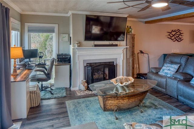 living room featuring crown molding, ceiling fan, and dark hardwood / wood-style floors