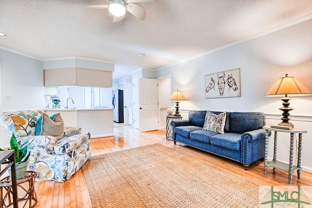 living room with crown molding, sink, a textured ceiling, and light hardwood / wood-style flooring