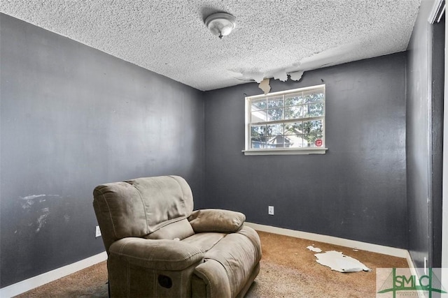 sitting room featuring carpet and a textured ceiling