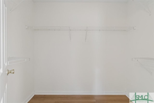 walk in closet with hardwood / wood-style floors