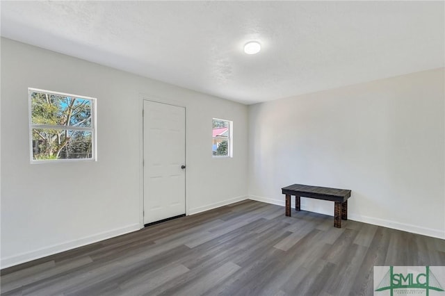 spare room with dark wood-type flooring