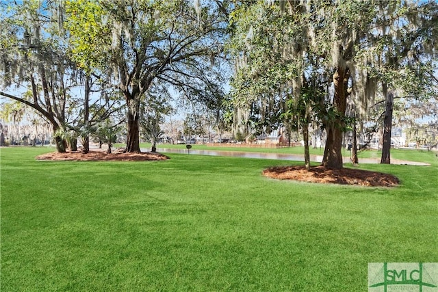 view of yard featuring a water view