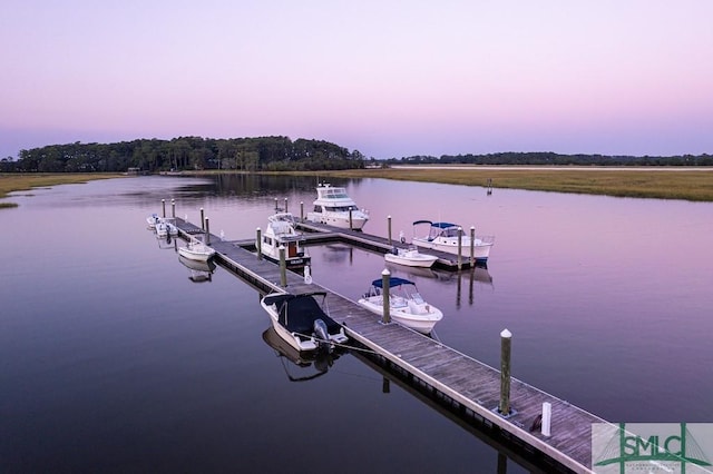 dock area featuring a water view