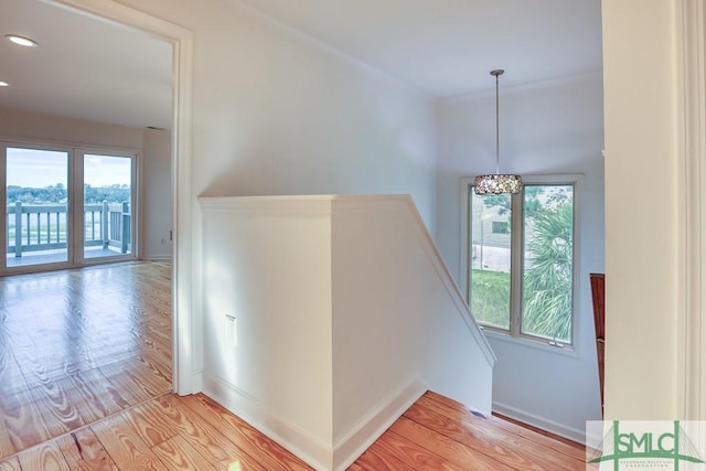 stairs with wood-type flooring