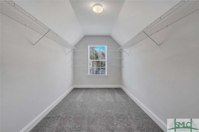 walk in closet featuring vaulted ceiling and carpet floors