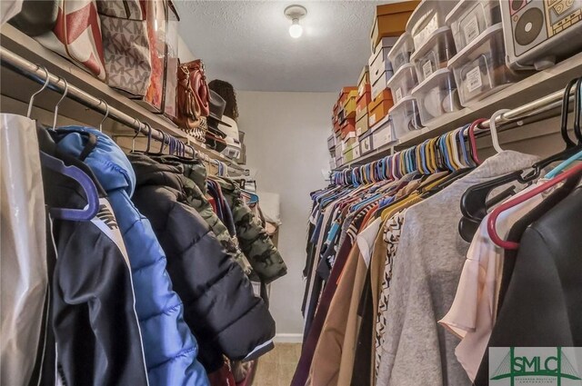 view of walk in closet