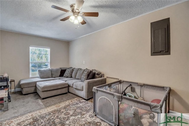 carpeted living room with ceiling fan, ornamental molding, electric panel, and a textured ceiling