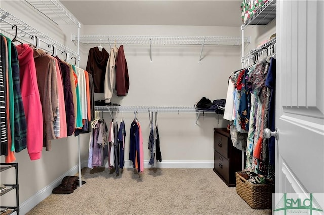 walk in closet with carpet floors