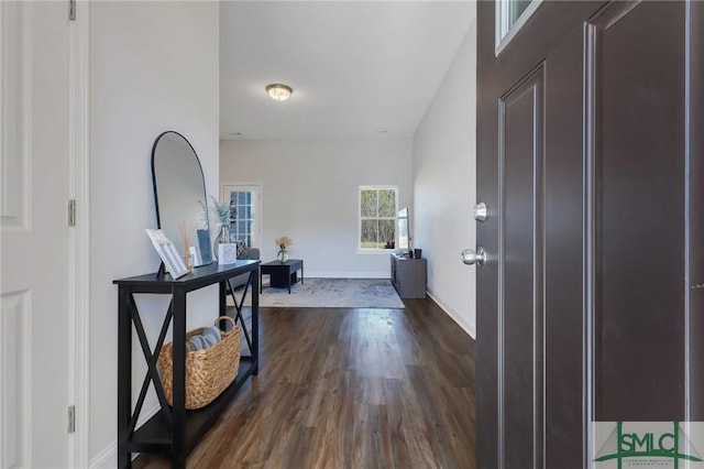 entryway featuring dark wood-type flooring