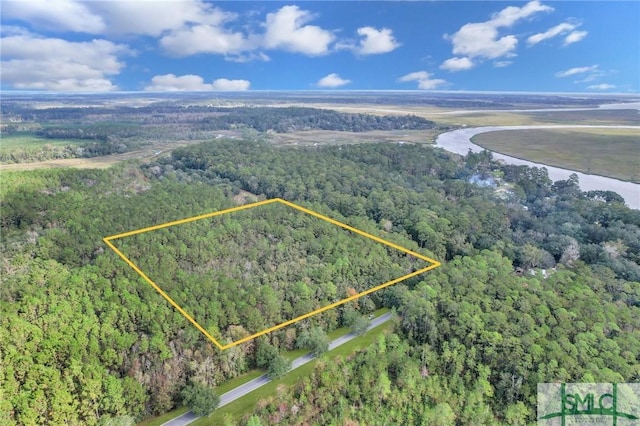 0 Pine Harbor Rd, Townsend GA, 31331 land for sale