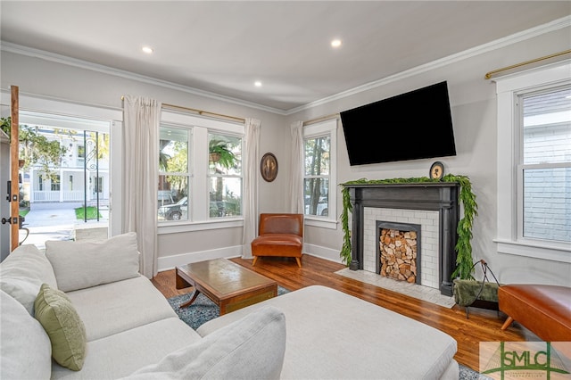 living room with a fireplace, crown molding, and wood-type flooring