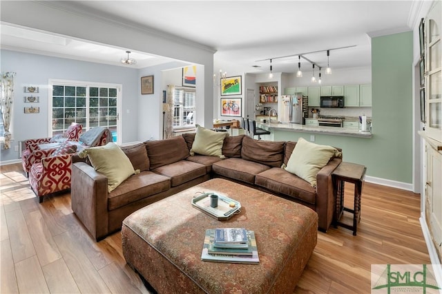 living room featuring crown molding, sink, track lighting, and light hardwood / wood-style flooring