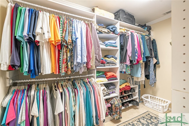 walk in closet with carpet flooring