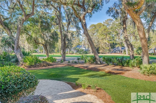 view of property's community featuring a yard