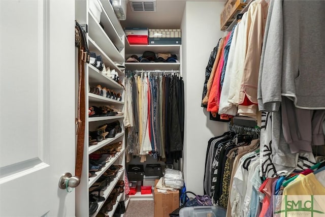 view of walk in closet