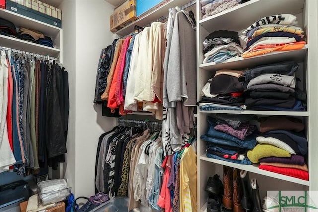 view of spacious closet