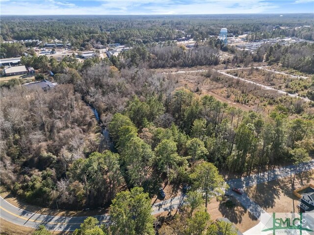 0 Pipkin Rd, Hinesville, GA 31313