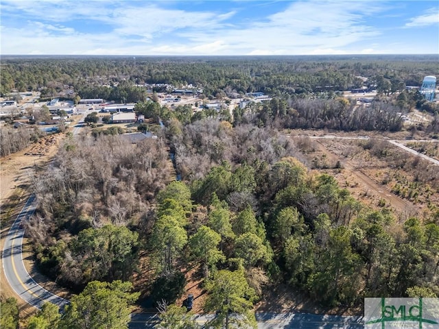 0 Pipkin Rd, Hinesville, GA 31313