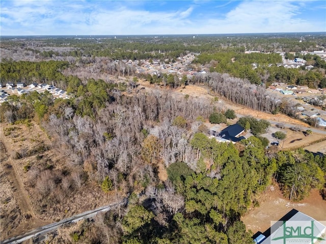 0 Pipkin Rd, Hinesville, GA 31313