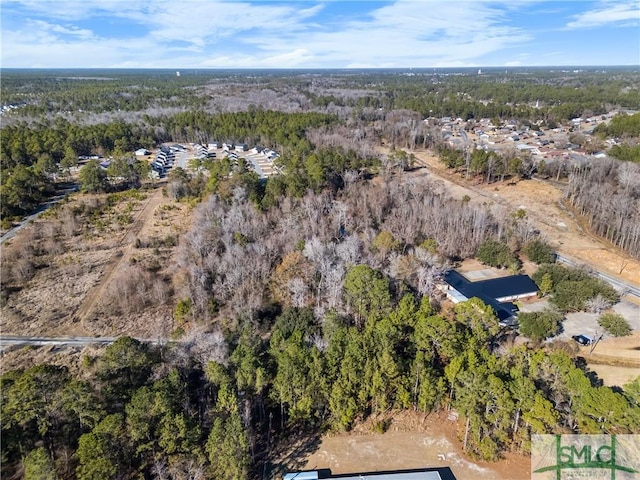 0 Pipkin Rd, Hinesville, GA 31313